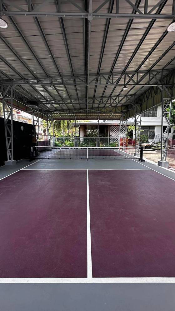 PARK 'n DINK court view 3